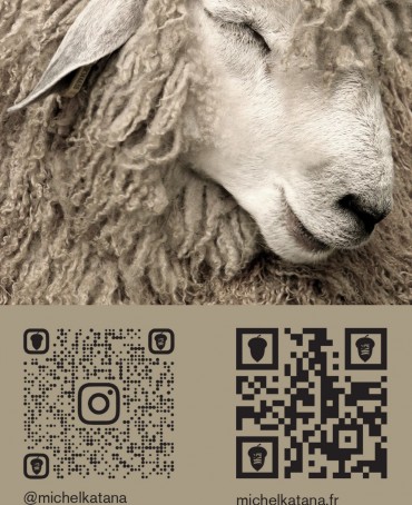 Шарф Унисекс FHb.W220_T-RZ-22A/NUIT